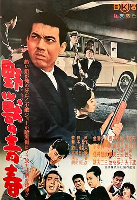 野兽的青春海报